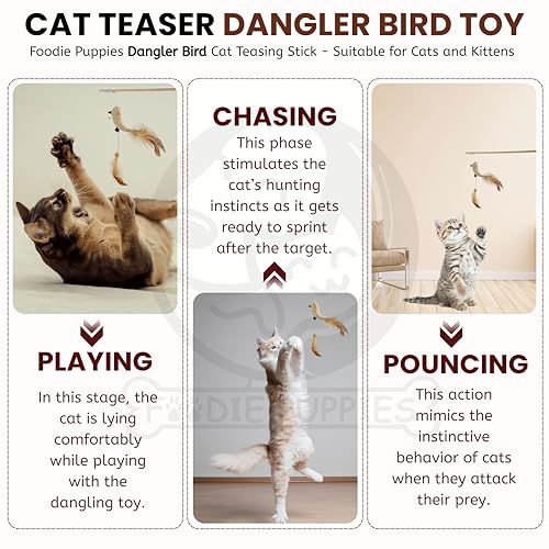 Image of Foodie Puppies Wooden Cat Teaser Wand Stick (Double Dangler Bird) with Feather Tail & Elastic Rope | Interactive Teasing Stick for Cats & Kittens I Indoor Play, Exercise & Stress Relief (41.5 cm)
