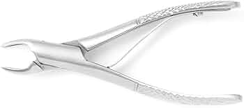 Amazon | [帝塚山ハウンドカム] 愛犬愛猫用 歯石取りペンチ デンタル