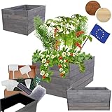 MODO24 Hochbeet Holz, Kräuterbeet, Gartenbeet, Pflanzkasten, Blumenbeet, für Garten und Terrasse, Kiefernholz, Massivholz, Naturholz, Gemüsegarten, Abmessungen 45x63x60 cm, Farbe: Grau