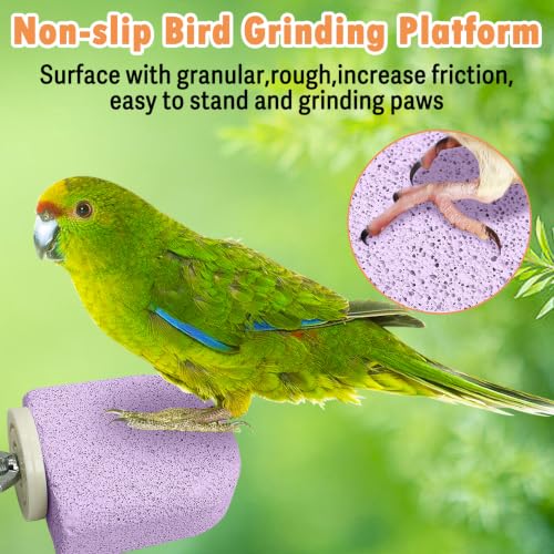 Image of PINVNBY 4 PCS Bird Perch Stands Parrot Calcium Perch Beak Grinding Stone Foot Claws Trimmer Parakeet Platform Parrot Chewing Toys for Small Medium Cockatiel Conure Lovebird Finch(Pink)