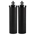 1 Count (Pack of 2) BB9-2 water filter core activated carbon filter compatible with Berkey tabletop water purification system filter element sintered carbon