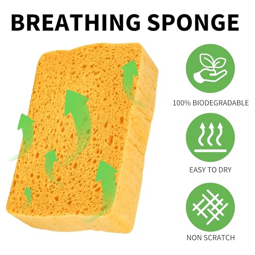 Image of 10 Count Compostable Thicker Pop-Up Sponges - Expanding, Non-Scratch, Plant-Based Cleaning Sponges Car Wash Sponge