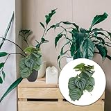 Zoom IMG-1 qumiirity pianta artificiale foglie di Zoom IMG-1 qumiirity pianta artificiale foglie di
