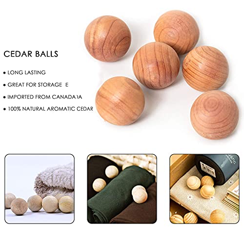 HomeClean Garment Bag Black Side Breathable Clear Full Zipper Bags for Clothes Storage (24'' x 40'', Black + Balls) - Image 5