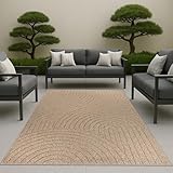 CARPETIA