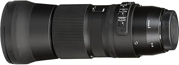 Amazon.com : Sigma 150-600mm F5-6.3 DG Contemporary Lens for Nikon