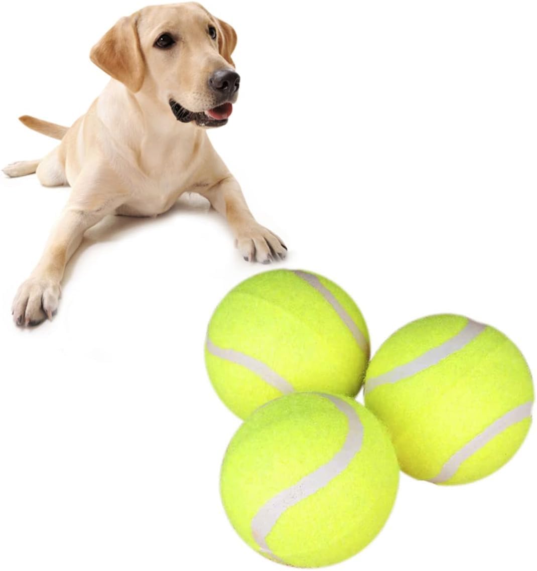 Jouets à mâcher pour chiens - Lot de 3 balles de tennis pour dressage de vos animaux