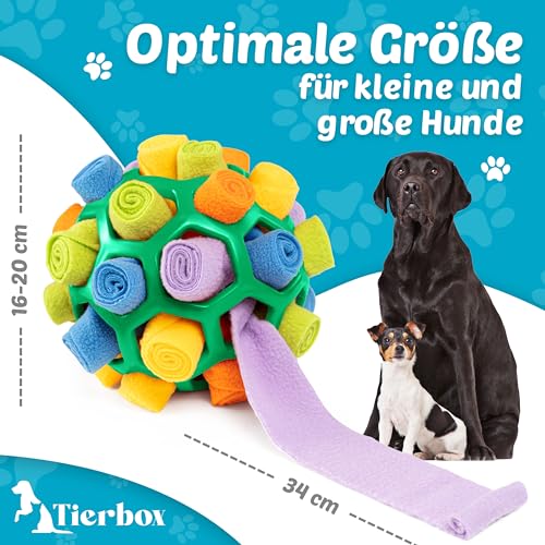 Tierbox Schnüffelball für Hunde Intelligenzspielzeug [für alle Hunde] Schnüffelspiele Hund | Kaktus Grün
