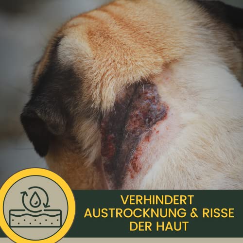 EMMA Lebertran-Zinksalbe für Hund, Katze & Pferd 250 ml – Zinkcreme bei Wunder Haut, Juckreiz & Mauke – wasserfeste Wund- & Pfotensalbe zur Hautpflege bei Ekzem & Liegeschwielen
