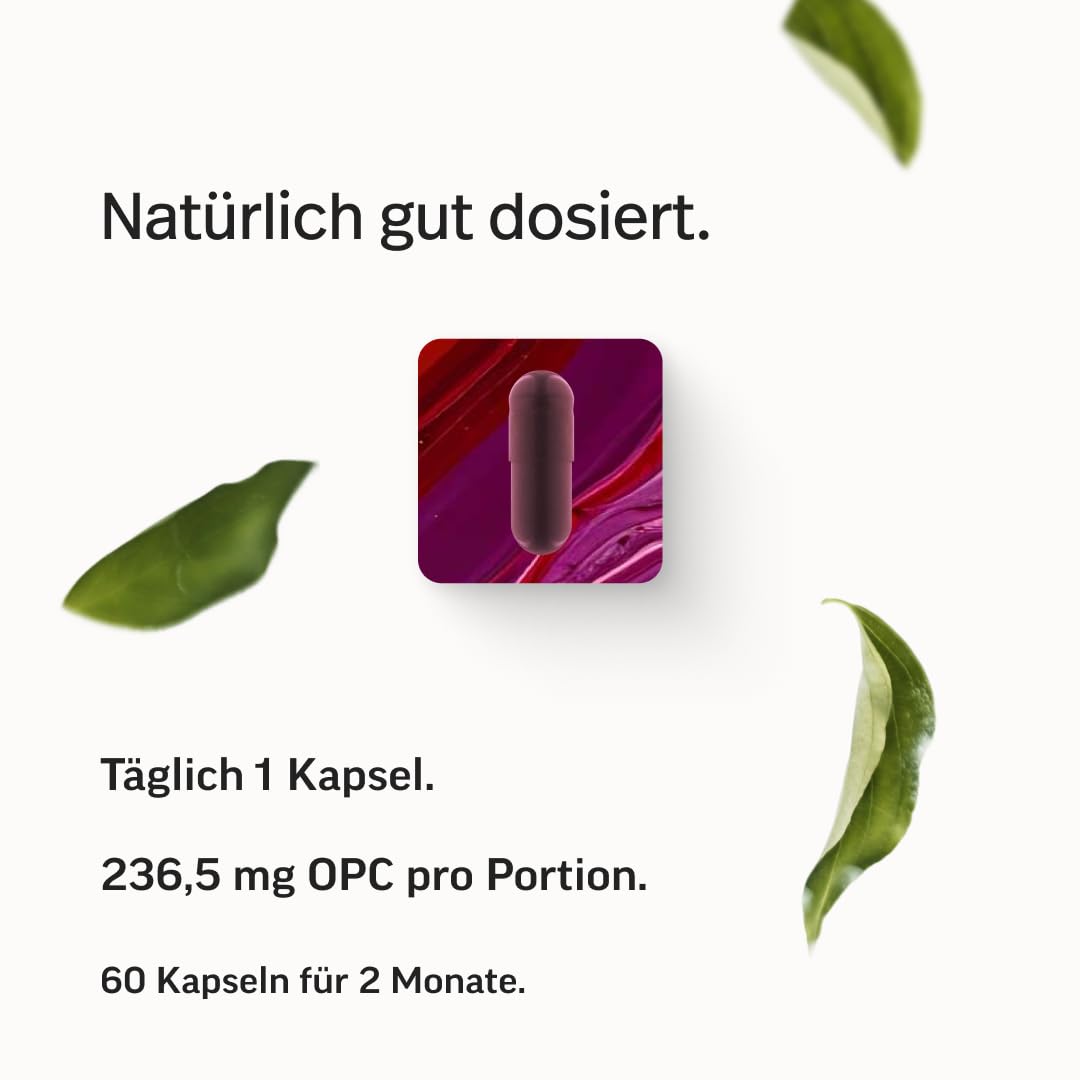 edubily® OPC-Komplex aus französischen Trauben - besonders reich an OPC und MPC - Laborgeprüft - Im Braunglas (60 Kapseln)