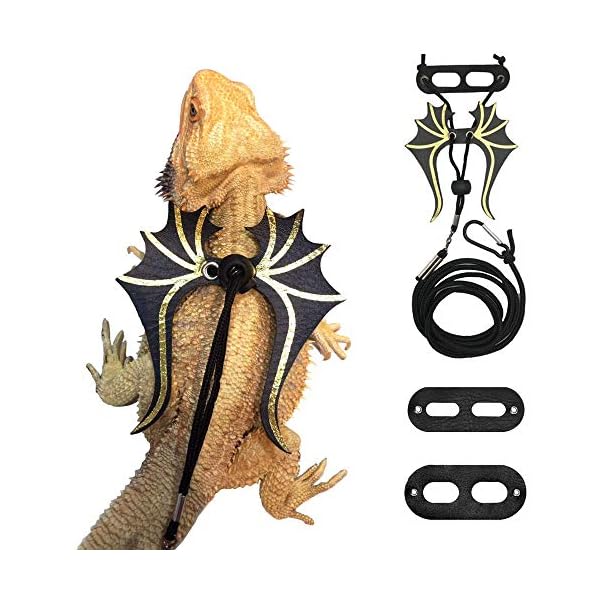 Adoggygo bearded dragon lizard leash harness - 3 size pack dinosaur wing lizard harness leash for bearded dragon lizard reptiles