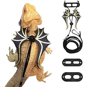ADOGGYGO Bearded Dragon Lizard Leash Harness – 3 Size Pack Dinosaur Wing Lizard Harness Leash for Bearded Dragon Lizard Reptiles