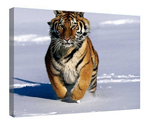 Toile tigre marchant encadrée en bois de qualité supérieure pour décoration murale raffinée