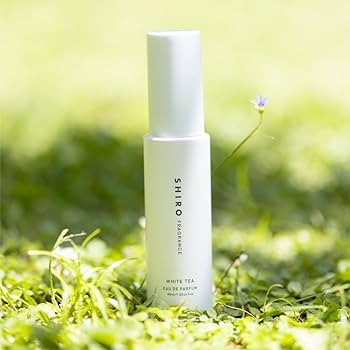 Thoo オードパルファム ホワイトパール ホワイト パール – NOSE SHOP