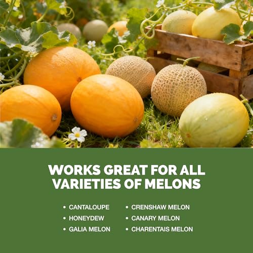 Fertilizante Líquido para Melones 1 Galón miniatura 5