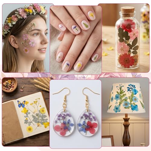 Kit artesanal con 130 flores prensadas secas y stickers miniatura 6