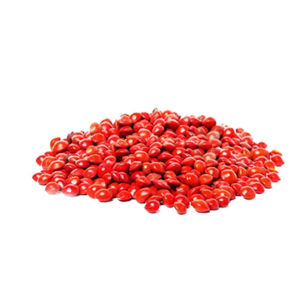 Anchery Drugs Manjadikuru Seeds | Manjaadi Ratti Lal Chirmi Red Sandalwood Seeds | Adenanthera Pavonina | Natural Seeds for Pooja, Craft & Traditional Use (50g) 1