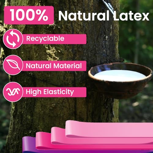 Accessory for Pilates Board，Resistance Bands for Pilates Reform, Exercice Loop Bands for Pilates kit, Pilates Starter Set of Stretch Bands for Women - Image 5