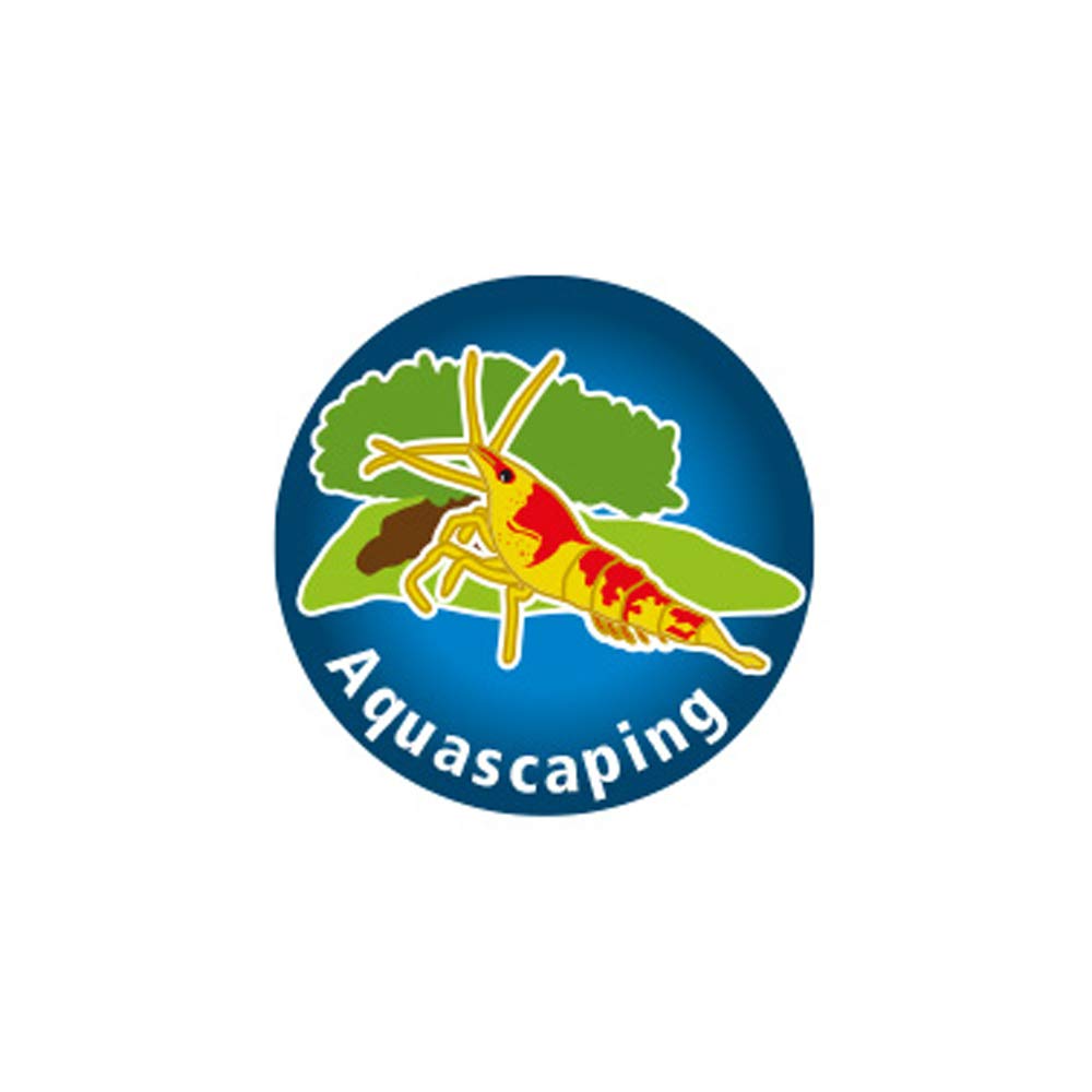 DUPLA Plant Basic I 200 Tabletten I Ideale Nährstoffkombination für Aquarienpflanzen I Inhalt reicht für 4.000 Liter