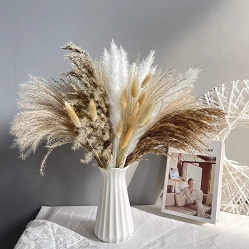 Lot de 72 Herbes de La Pampa Séchées Naturelle Décoration, Bouquet de Pampa Fleurs Compositions Séchée Blanche Beige, Tiges de Pampas Plumes Plantes pour Déco Intérieur, Chambre, Boho Mariage Cover