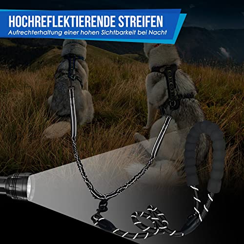 SlowTon Doppelleine für 2 Hunde, 360° drehbare, reflektierende Hundeleine mit Zwei gepolsterten Griffen, bequemes stoßdämpfendes Spaziergangstraining Hundeleine für große Hunde (11-68 KG)