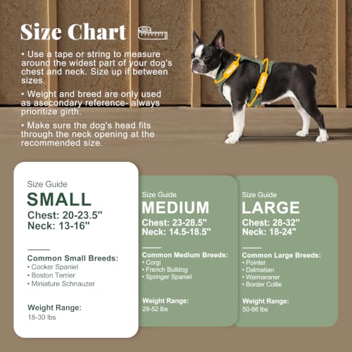 Image of Didog No Pull Dog Harness for Small Dogs, Classic PU Leather, Green, S