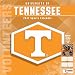 Turner Licensing Sport 2017 Tennessee Volunteers Team Wall Calendar, 12"X12" (17998011819)