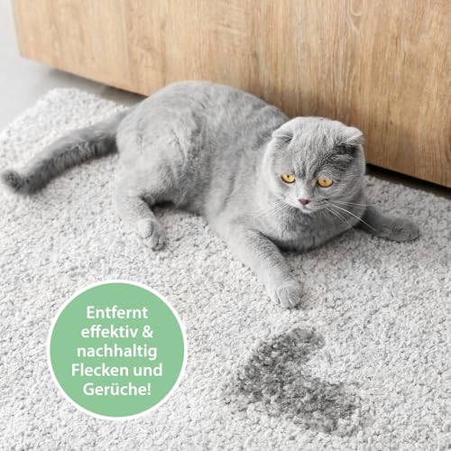 Katzenurin Spray 100 ml – gegen Katzenpipi, Uringeruch & Flecken unterwegs – Enzymreiniger biologisch & sicher – ideal für Sofa, Auto, Katzenklo, Reisen & Textilien – hygienisch & effektiv – PIPI-Weg