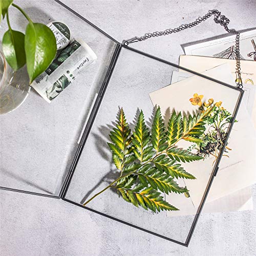Ncyp Hanging Black Glass Frame For Certificate, Photo, Picture - Glass Floating Frame For Pressed Dried Flower (9.84X7.87 Inch) Modern Wall Vertical Decor, Plant Specimen Clip (Glass Frame Only) #TOP2