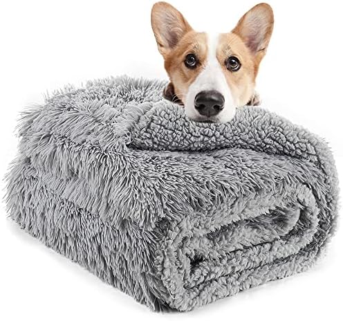 Amazon.com : LOCHAS Luxury Fluffy Dog Blanket, Extra Soft and Warm Sherpa  Fleece Pet Blankets for Dogs Cats, Plush Furry Faux Fur Puppy Throw Cover,  30''x40'' Grey : Pet Supplies