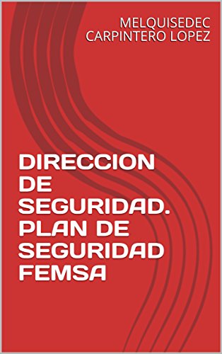 DIRECCION DE SEGURIDAD. PLAN DE SEGURIDAD FEMSA