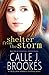 Shelter from the Storm (Finley Creek Book 2)