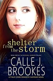 Shelter from the Storm (Finley Creek Book 2)