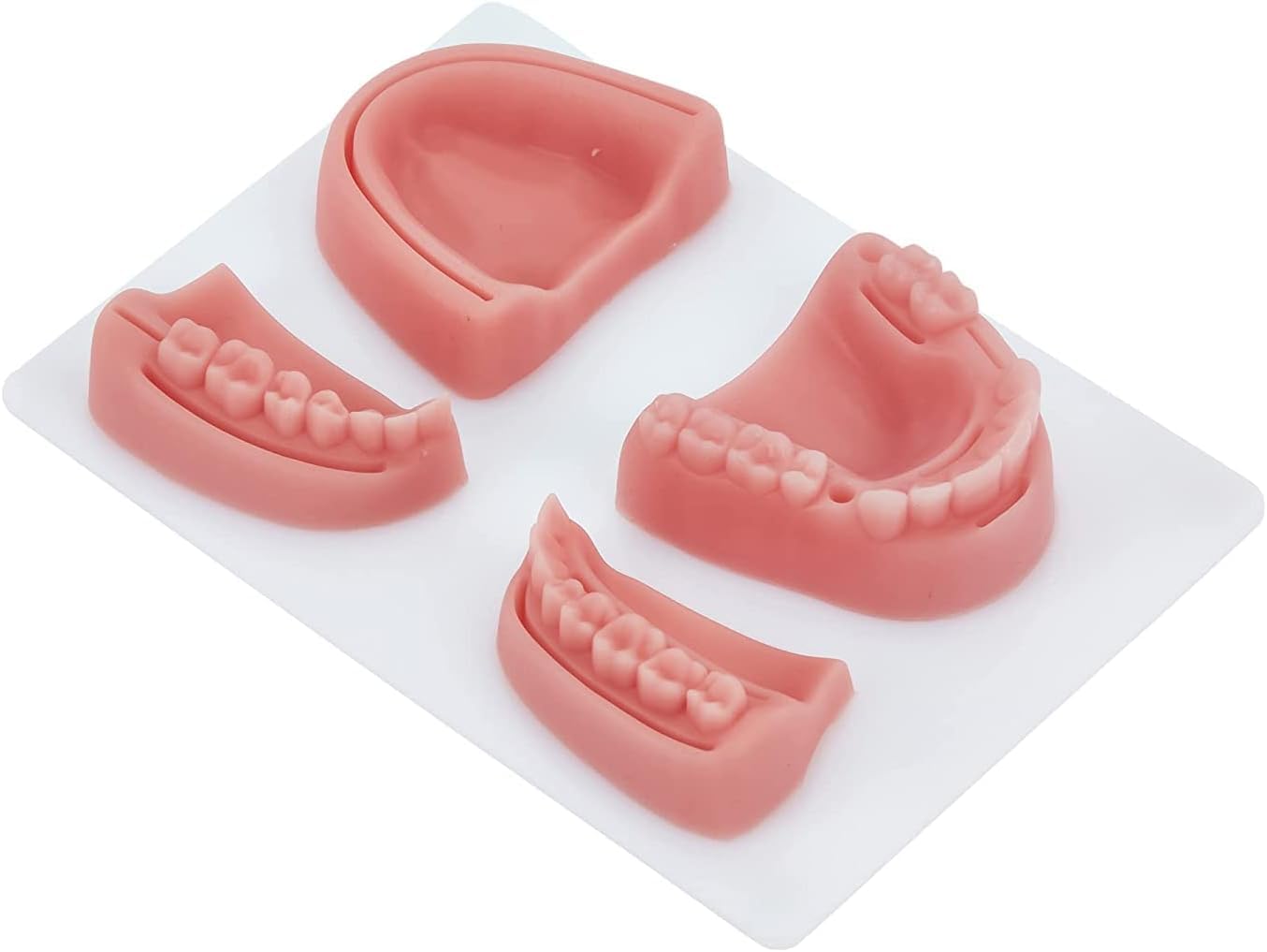 Kit de sutura de odontología | Kit de sutura Completo Que Incluye 4 Almohadillas de sutura Dentistas | 6 Herramientas de sutura Dental de Calidad | Práctica de sutur