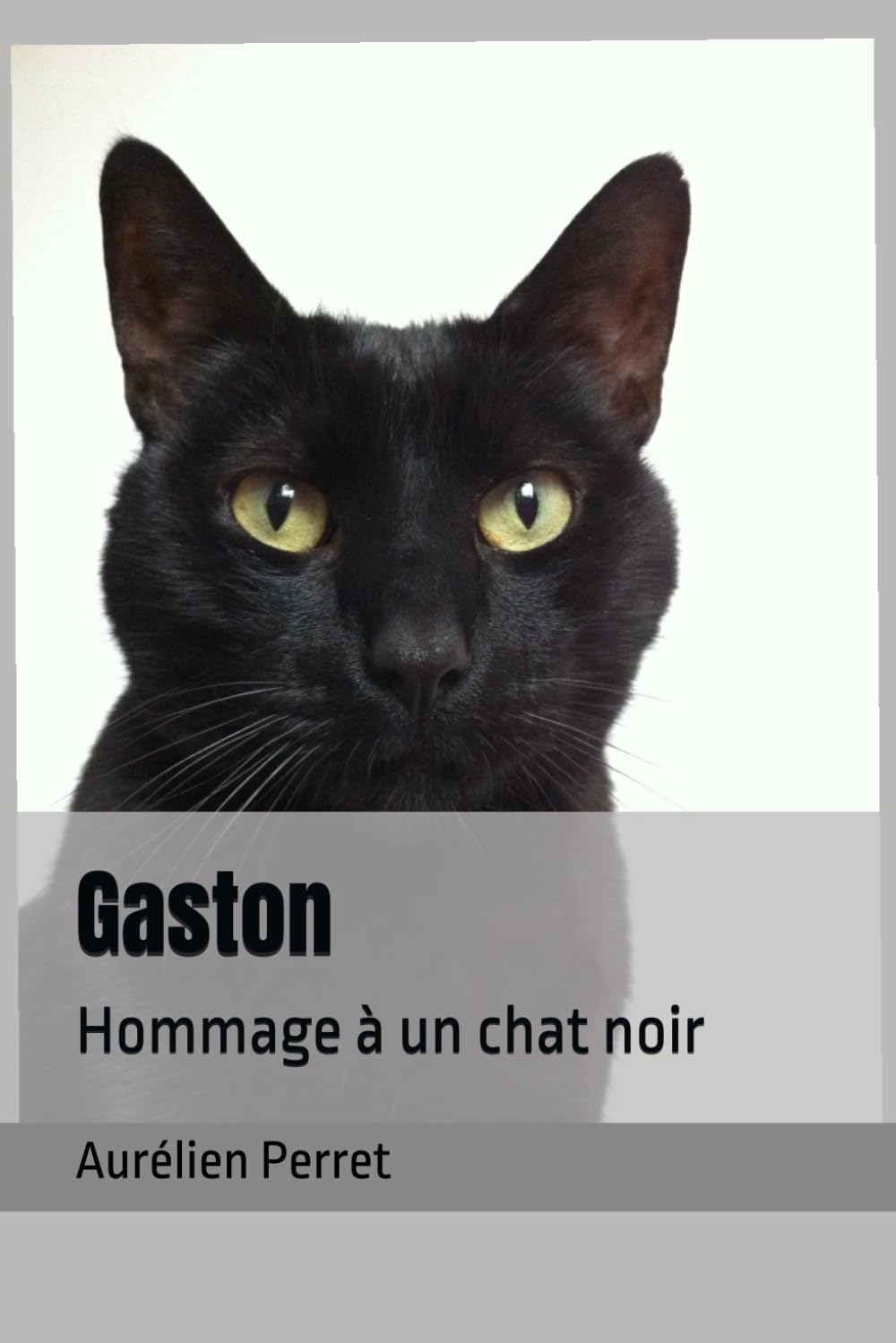 Gaston: Hommage à un chat noir