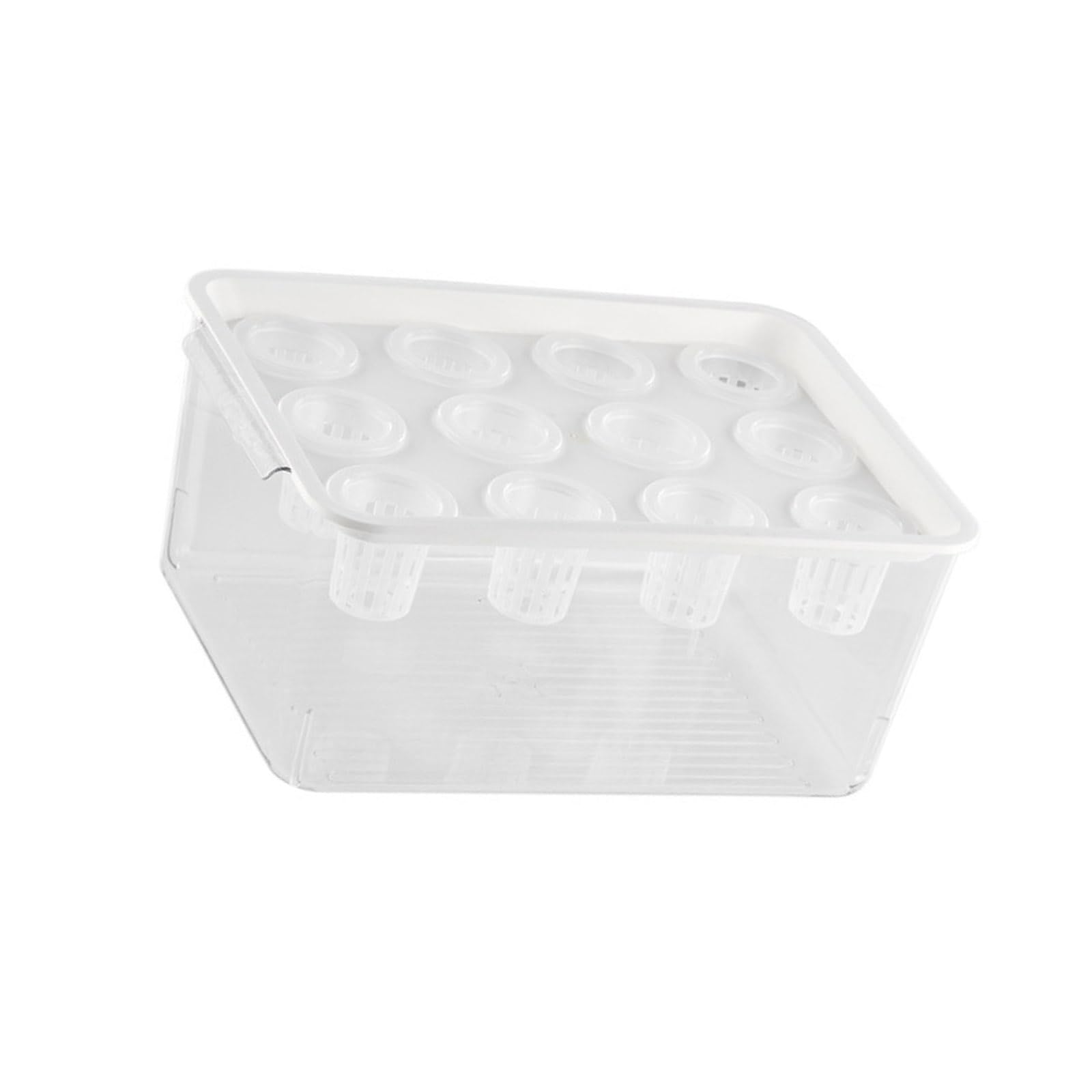 Snorvixre Multi Purpose Propagation Box Container for Vegetables Indoor Plant Gardens and Learning Activities Clear Hydroponic Planter Box