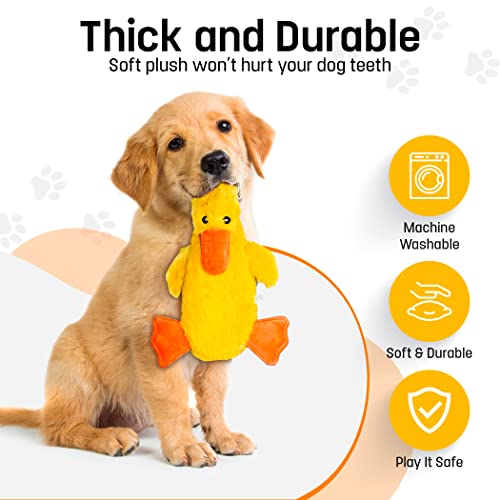 FGA-MARKETPLACE-Duck-and-Frog-Flat-NO-Stuffing-NO-Squeak-Plush-Dog-Toy-Funny-Style-Will-Entertain-Your-Dog-for-Hours-Recommended-for-Small-and-Medium-Dog-21-INCH-Long