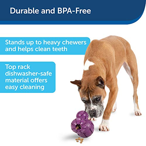 petsafe busy buddy barnacle