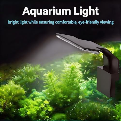 Image of Mini Clip On Fish Tank Light 7W Small Aquarium Light for 1 to 5 Gallon Nano Tanks USB Moving Lamp with White Red Blue Green LED (Adapter NOT Included)