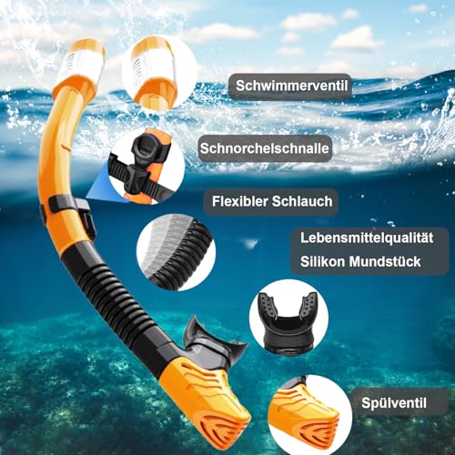 Schnorchelset Erwachsene,Schnorcheln Set mit Taucherbrille und Trocken Schnorchel,Anti-Fog Anti-Leck Schnorchelmaske Tauchmaske aus Gehärtetem Glas,für Tauchen Schnorcheln Schwimmen,Dry Schnorchel