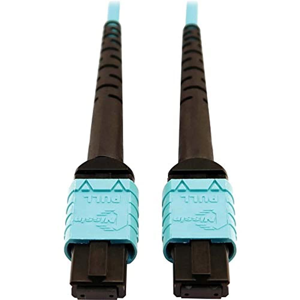 ネット　１０ｍ×２，７ｍ ネット 10m×2，7m Amazon.com: Tripp Lite 400GB Ethernet Fiber