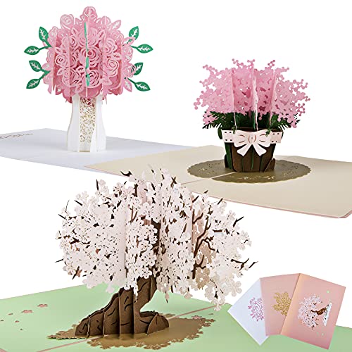 Cakeboy 3D Grußkarten Geburtstagskarte, 3 Stück Pop Up Karte Hochzeitskarte Cover