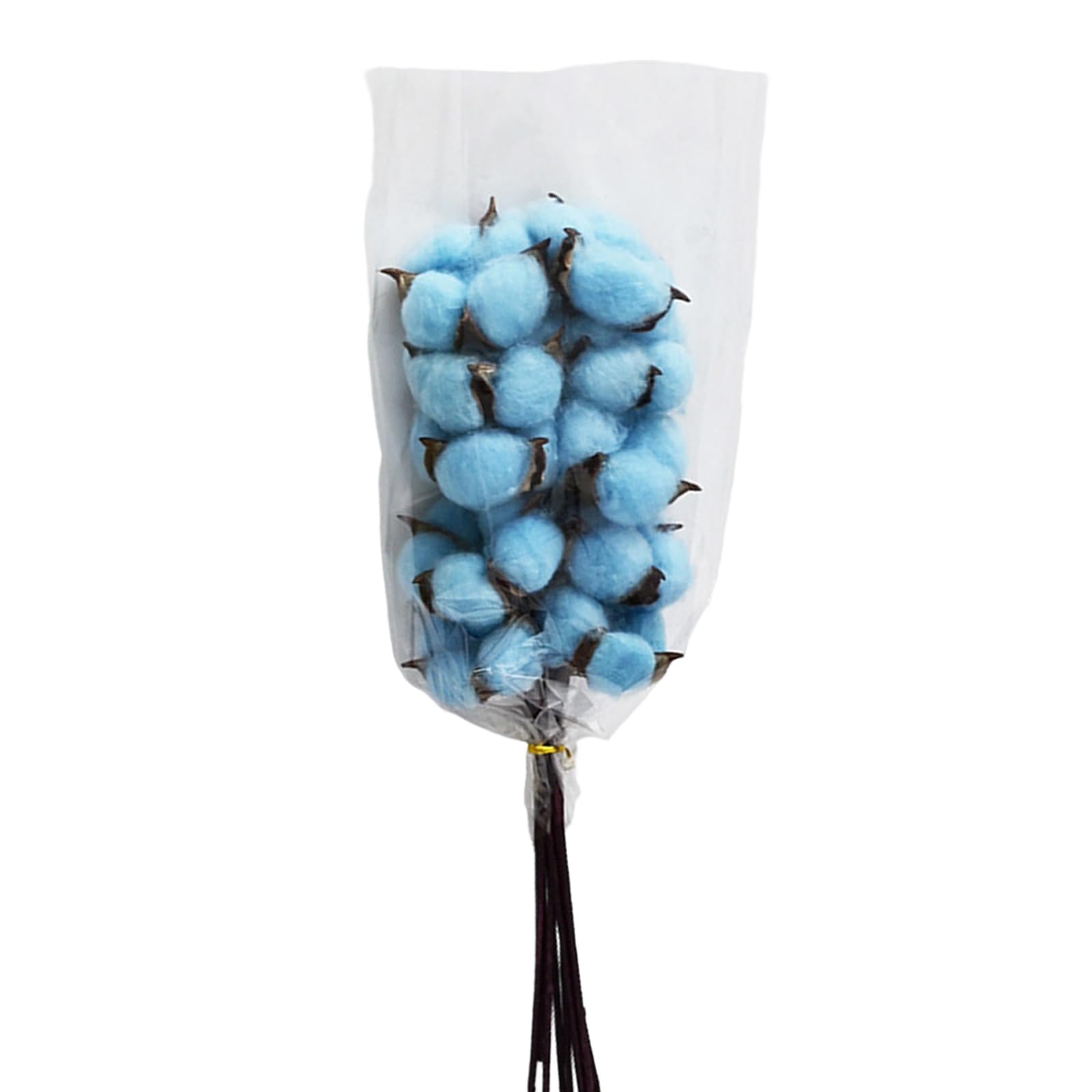 Tsophreniq 10Pcs User Friendly Dried Cotton Blooms Cotton Flower Decoration for Table Centerpieces and Craft Projects Dried Flower