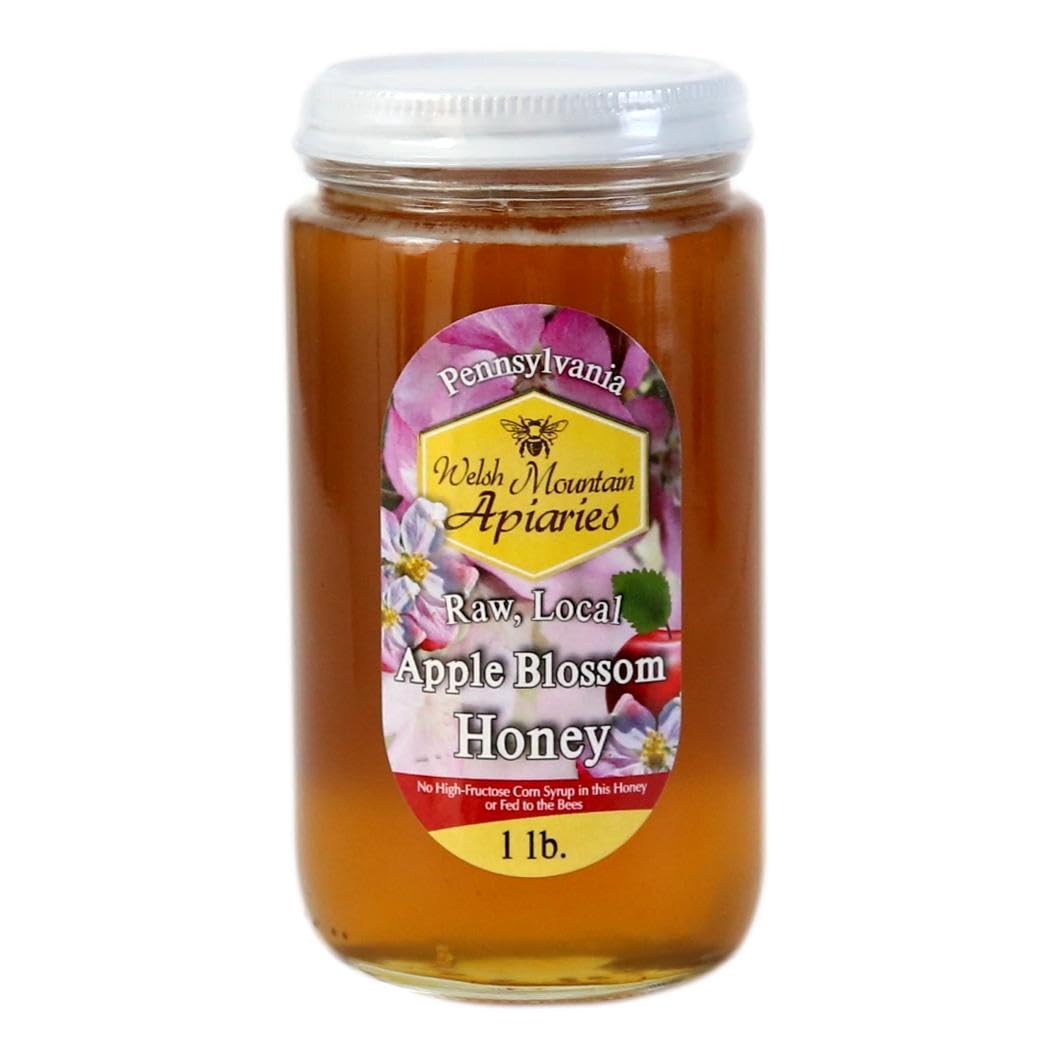 Pennsylvania Apple Blossom Honey by Welsh Mountain Apiaries, Raw and Unfiltered, 16 Ounce Jar (Pack of 3)