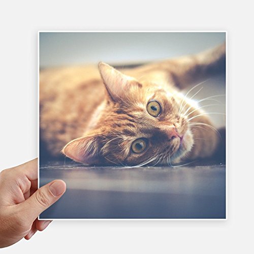 Autocollant carré 20 cm chat jaune multicolore haute définition - 2