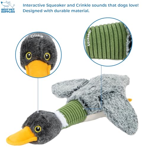 Image of Best Pet Supplies Interactive Squeaky Dog Chew Toy, Ideal Dog Toys for Chewers, Small, Medium & Large Dogs, and Fetch Lovers - Mallard Duck Wing (Gray), Small