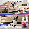 JJBONG Potty Training Spray for Dogs, Puppy Potty Training Spray, Includes Here Potty & Not Here Training Spray, Puppy Pee Spray, Helps Dogs Develop Proper Potty Habitss, 6.8 Fl Oz (Pack of 2). #4