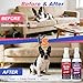 JJBONG Potty Training Spray for Dogs, Puppy Potty Training Spray, Includes Here Potty & Not Here Training Spray, Puppy Pee Spray, Helps Dogs Develop Proper Potty Habitss (8 fl oz Each)
