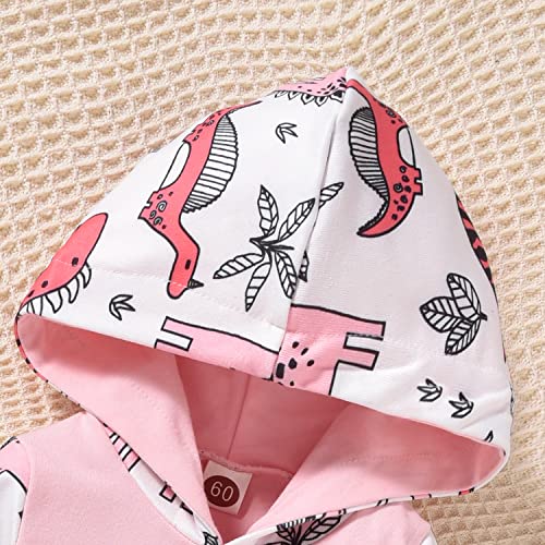 Newborn Infant Baby Girl Dinosaur Outfit Long Sleeve Hoodie Romper Bodysuit and Pants with Headband Set4