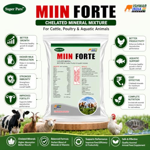 Image of MIIN Forte Pouch Pack | Mineral Mixture Powder for Cattle, Buffaloes, Goats & Sheep | Boosts Milk Yield, Growth, Immunity Booster | Powerful Chelated Minerals Mixture (1Kg)